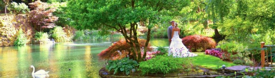 Lakeside Gardens Events Everything Wedding And Events Brought